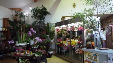「いなば生花店」　（茨城県筑西市）の花屋店舗写真4
